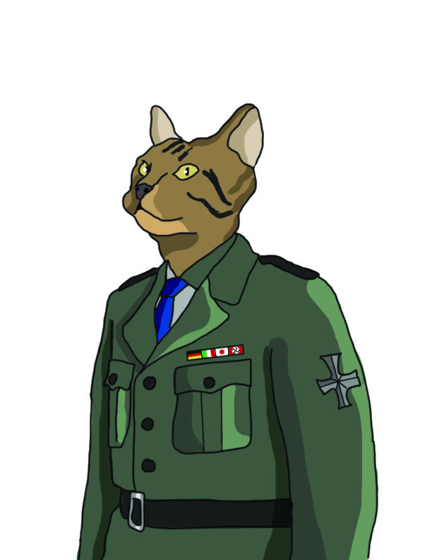 Katzkrieg